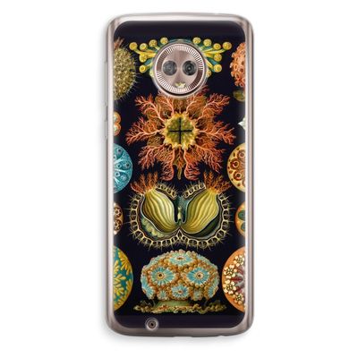 Haeckel Ascidiae: Motorola Moto G6 Transparant Hoesje