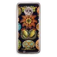 Haeckel Ascidiae: Motorola Moto G6 Transparant Hoesje