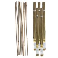 Gerimport Plantenstokken - 50x stuks - 60 cm - plantensteun / tonkinstokken