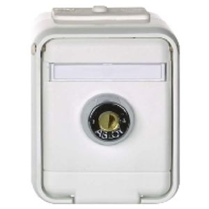 455029  - Socket outlet (receptacle) 455029