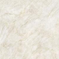 Taj Mahal Nature gepolijst 120x120 rett