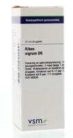 VSM Ribes nigrum D6 20 Milliliter