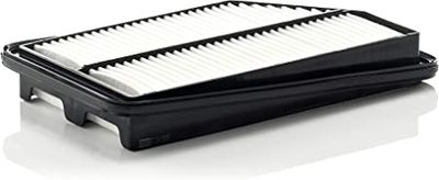 Luchtfilter C31005