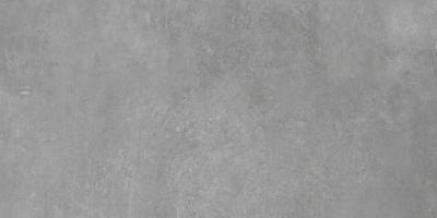 Vloertegel Tassero Grey 60x120 rect