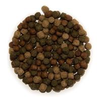 Coppens Koi Voer Osw Mix - 6mm Pellets voor Groei & Kleur - Compleet Dieet 15KG - thumbnail