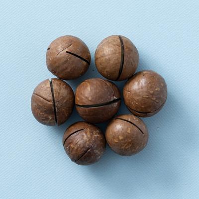 macadamia noten in dop geroosterd gezouten 400 gram