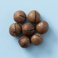 macadamia noten in dop geroosterd gezouten 400 gram