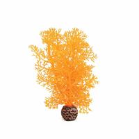 Hoornkoraal klein orange - Biorb