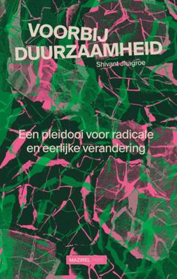 Voorbij duurzaamheid (Paperback)