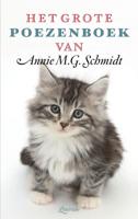 Het grote poezenboek (Paperback)