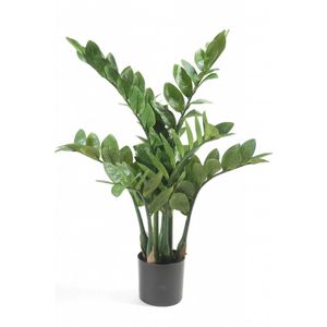 Emerald Emerald Kunstplant zamioculcas 70 cm