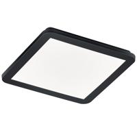 Trio Badkamer plafonnièreCamillus 30 bij 30cm - R62931832