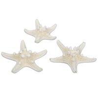 24x stuks decoratie zeesterren - naturel wit - 5-7 cm - thumbnail