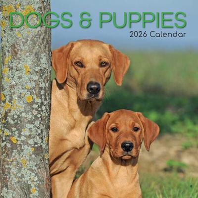 Honden en Puppies Kalender 2026
