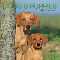 Honden en Puppies Kalender 2026