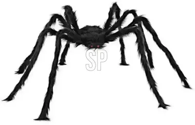 Halloween figuur spin 50cm zwart
