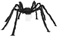 Halloween figuur spin 50cm zwart