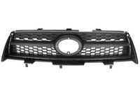 Radiateurgrille 6502078179992P
