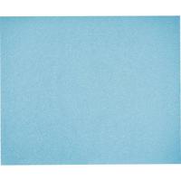 Festool 230x280 P100 GR/10 201259 Handschuurpapier Korrelgrootte (num) 100 (l x b) 230 mm x 280 mm 10 stuk(s)