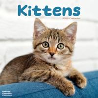 Kittens Kalender 2026
