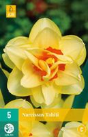 Narcis tahiti 5 bollen