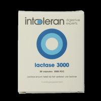 Intoleran Lactase 3000 50 Capsules