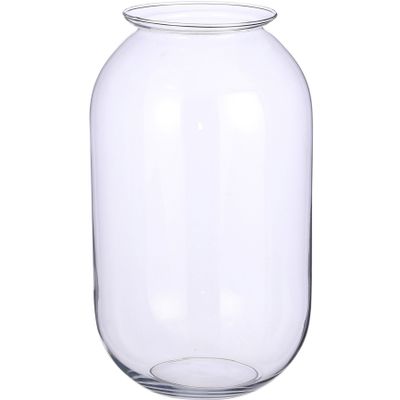 Transparante ronde vaas/vazen van glas 19 x 30 cm