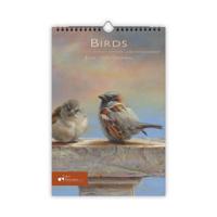 Comello Verjaardagskalender birds a4 formaat