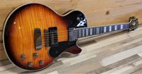 Hagstrom Swede LTD Tiger Burst