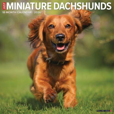 Miniatuur Teckel Kalender 2026
