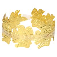 Verkleed hoofdband lauwerkrans Caesar - heren - goud - Romeinse rijk thema party - Carnaval tiara - thumbnail