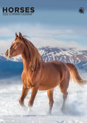 Paarden A3 Kalender 2026