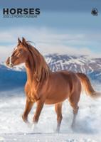 Paarden A3 Kalender 2026