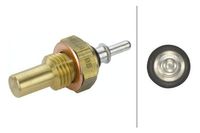 Temperatuursensor 6PT009107251