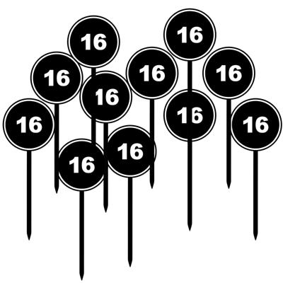 Verjaardagsfeest leeftijd cocktailprikkers - 16 jaar - 48x - thema stopbord zwart - sweet sixteen