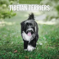 Tibetaanse Terrier Kalender 2026