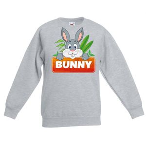 Konijnen dieren sweater grijs voor kinderen