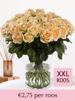 Zalmkleurige rozen - Kies je aantal - 10 t/m 99 rozen