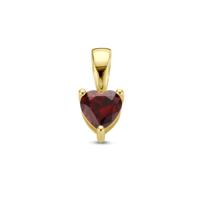 14K Geelgouden Hart Hanger met Januari Geboortesteen - 9,5mm