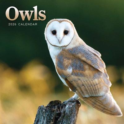 Uilen Kalender 2026 Mini