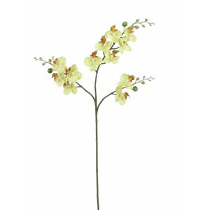 Mica Decorations Kunstbloem Orchidee tak - lichtgeel - 75 cm - Kunst zijdebloemen   -