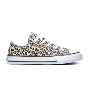 Converse All Stars Chuck Taylor 366297C Bruin-33