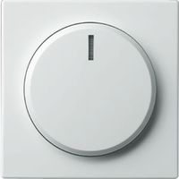 Busch-Jaeger centraalplaat 6540-82-102 ivoorwit