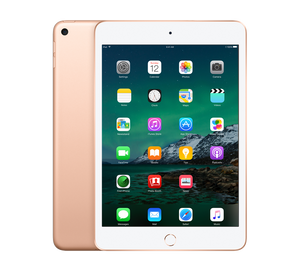 Refurbished iPad Mini 5 64 GB Goud Zichtbaar gebruikt