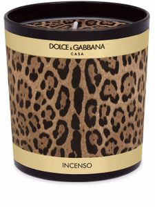 Dolce & Gabbana bougie à imprimé léopard - Noir