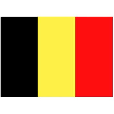 Vlag van Belgie stickers - 10x - 7.5 x 10 cm - Binnen/buiten