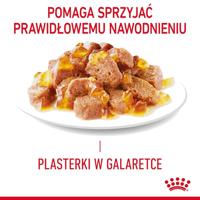 ROYAL CANIN FCN Light Weight Care in gelei - natvoer voor volwassen katten - 12x85g