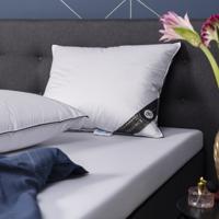 Hoofdkussen Dons - 100% Ganzendons - Voor Zij-, Rug- En Buikslaper - Vulling: 100% Ganzendons - Dekbed-Discounter.nl