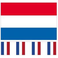 Nederland versiering/feestartikelen set - vlag 90 x 150 cm - vlaggenlijn van 300 cm - landen - thumbnail