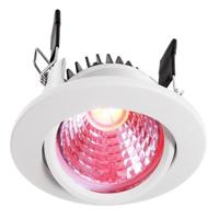 Deko Light 565335 COB 68 LED-inbouwlamp Energielabel: F (A - G) LED vast ingebouwd 8.50 W Signaalwit (RAL 9003) Deko Light 565335 COB 68 LED-inbouwlamp Energielabel: F (A - G) LED vast ingebouwd 8.50 W Signaalwit (RAL 9003)